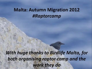 Malta: Autumn Migration 2012
           #Raptorcamp




With huge thanks to Birdlife Malta, for
both organising raptor camp and the
            work they do
 