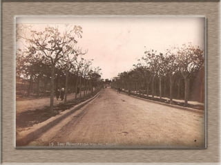 Photos of Malta in the 20th century