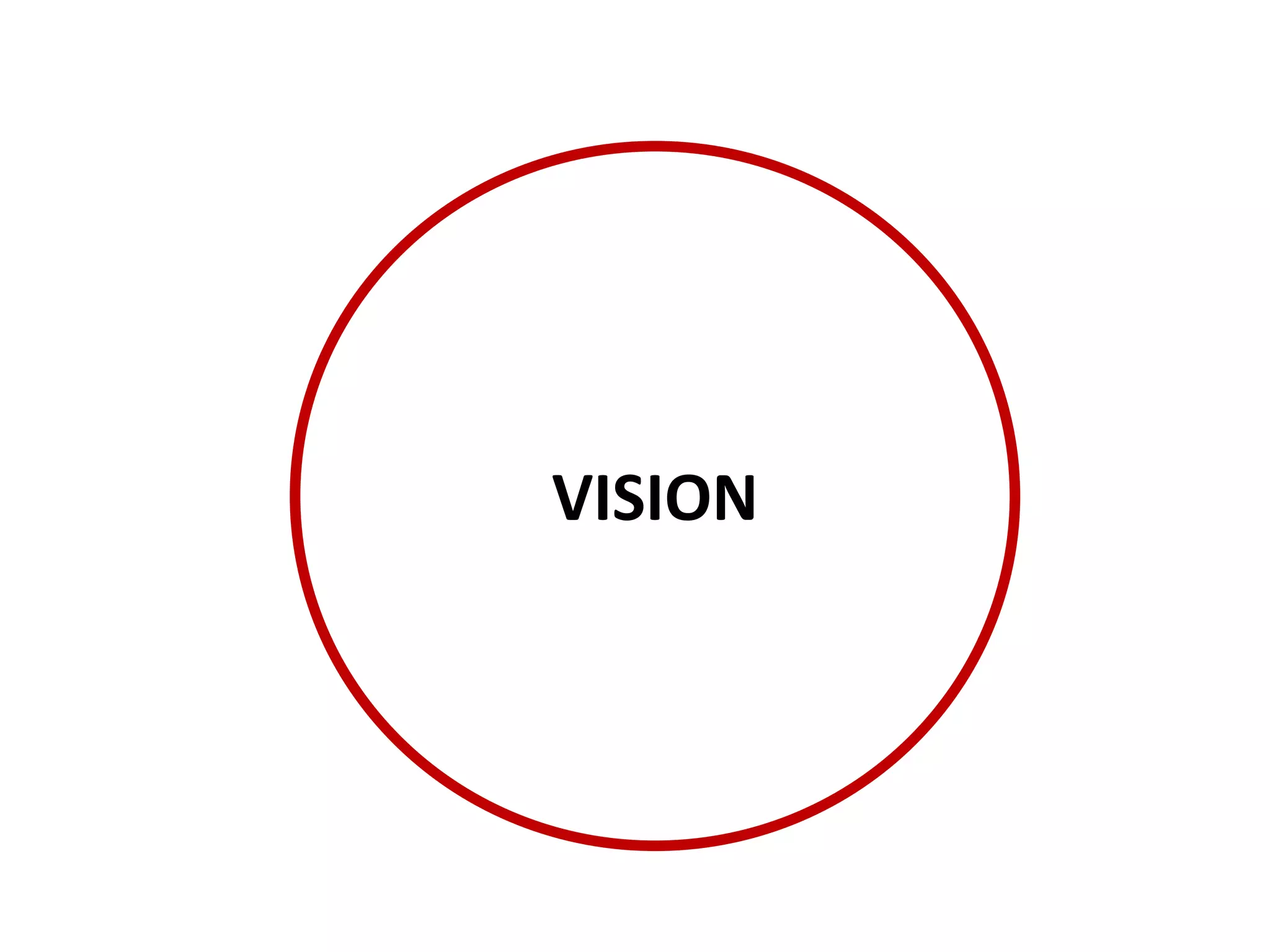 VISION 
 