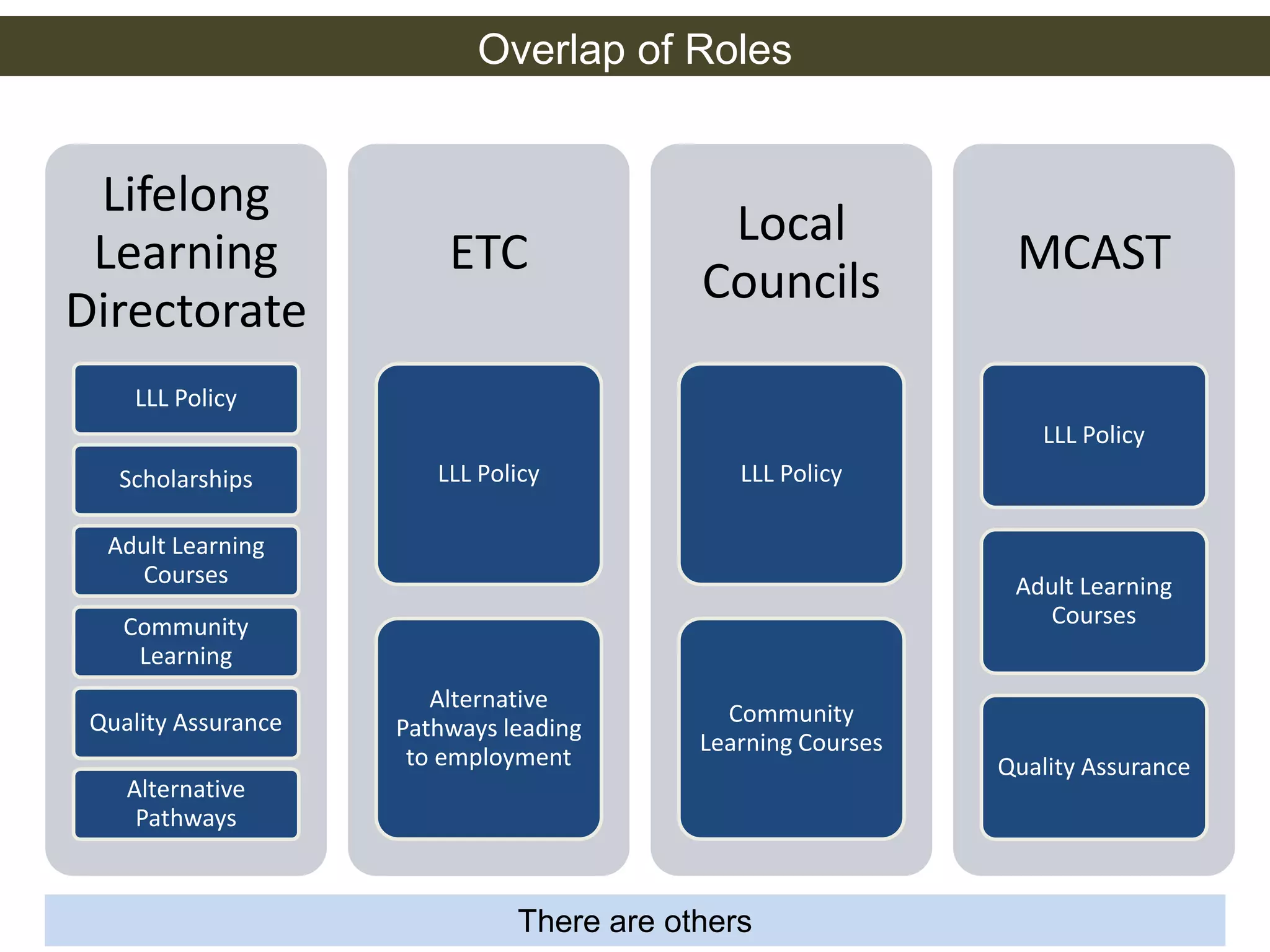 Lifelong 
Learning 
Directorate 
LLL Policy 
Scholarships 
Adult Learning 
Courses 
Community 
Learning 
Quality Assurance 
Alternative 
Pathways 
ETC 
LLL Policy 
Alternative 
Pathways leading 
to employment 
Local 
Councils 
LLL Policy 
Community 
Learning Courses 
MCAST 
LLL Policy 
Adult Learning 
Courses 
Quality Assurance 
Overlap of Roles 
There are others 
 