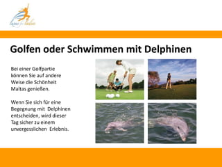 Golfen oder Schwimmen mit Delphinen
Bei einer Golfpartie
können Sie auf andere
Weise die Schönheit
Maltas genießen.

Wenn Sie sich für eine
Begegnung mit Delphinen
entscheiden, wird dieser
Tag sicher zu einem
unvergesslichen Erlebnis.
 