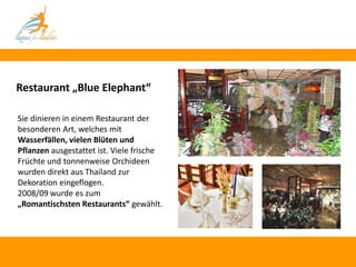 Restaurant „Blue Elephant“

Sie dinieren in einem Restaurant der
besonderen Art, welches mit
Wasserfällen, vielen Blüten und
Pflanzen ausgestattet ist. Viele frische
Früchte und tonnenweise Orchideen
wurden direkt aus Thailand zur
Dekoration eingeflogen.
2008/09 wurde es zum
„Romantischsten Restaurants“ gewählt.
 