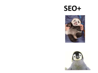 SEO+
 