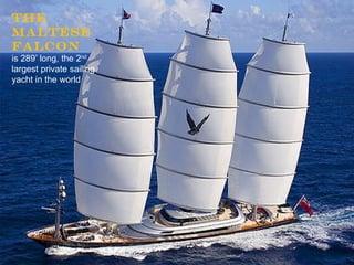 The Maltese Falcon   is 289’ long, the 2 nd  largest private sailing yacht in the world 