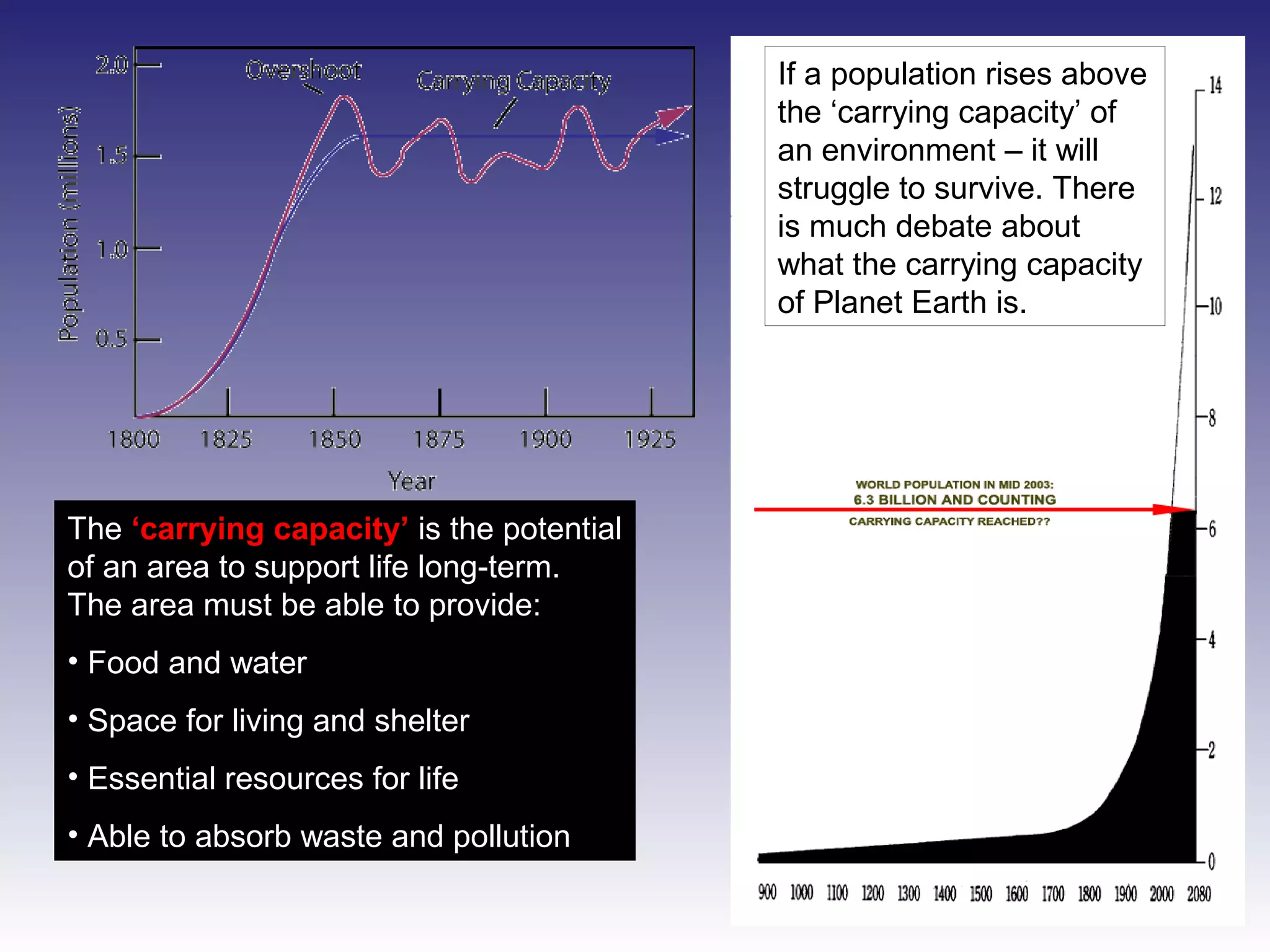 Malthus Population Theory PPT Malthus Population Theory Ppt