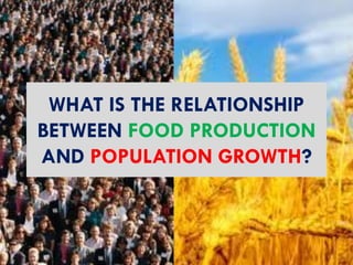 WHAT IS THE RELATIONSHIP
BETWEEN FOOD PRODUCTION
AND POPULATION GROWTH?

 