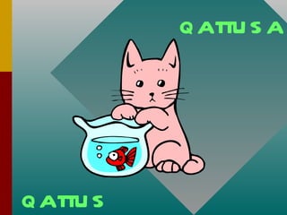 qattus qattusa 