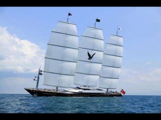 Maltese Falcon
