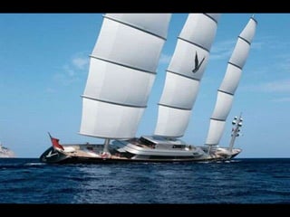 Maltese Falcon