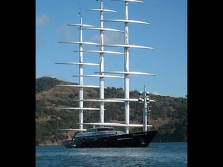 Maltese Falcon