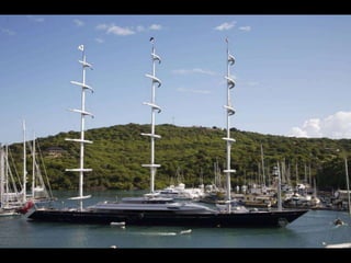 Maltese Falcon