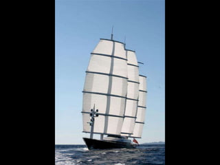 Maltese Falcon