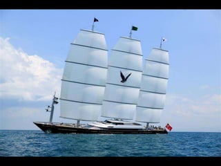 Maltese Falcon