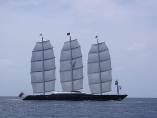 Maltese Falcon