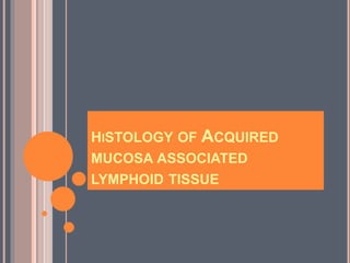 HISTOLOGY OF ACQUIRED
MUCOSA ASSOCIATED
LYMPHOID TISSUE
 