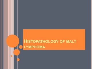 HISTOPATHOLOGY OF MALT
LYMPHOMA
 