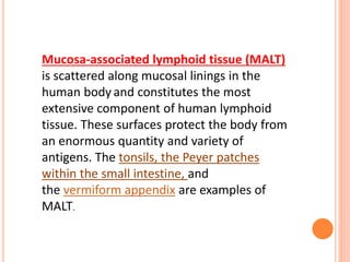 Mucosa-associated lymphoid tissue (MALT)
is scattered along mucosal linings in the
human body and constitutes the most
extensive component of human lymphoid
tissue. These surfaces protect the body from
an enormous quantity and variety of
antigens. The tonsils, the Peyer patches
within the small intestine, and
the vermiform appendix are examples of
MALT.
 