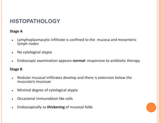 HISTOPATHOLOGY
Stage A
 Lymphoplasmacytic infiltrate is confined to the mucosa and mesenteric
lymph nodes
 No cytological atypia
 Endoscopic examination appears normal- responsive to antibiotic therapy
Stage B
 Nodular mucosal infiltrates develop and there is extension below the
muscularis mucosae
 Minimal degree of cytological atypia
 Occasional immunoblast like cells
 Endoscopically as thickening of mucosal folds
 