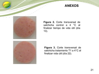 21
ANEXOS
Figura 2. Corte transversal de
salchicha control a 4 °C al
finalizar tiempo de vida útil (día
13).
Figura 3. Corte transversal de
salchicha tratamiento T1 a 4°C al
finalizar vida útil (día 22).
 