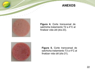 22
ANEXOS
Figura 4. Corte transversal de
salchicha tratamiento T2 a 4°C al
finalizar vida útil (día 23).
Figura 5. Corte transversal de
salchicha tratamiento T3 a 4°C al
finalizar vida útil (día 21).
 