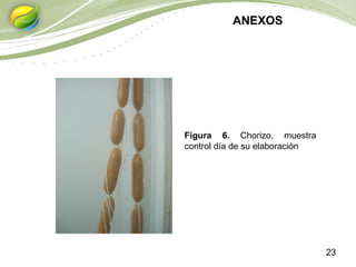 23
ANEXOS
Figura 6. Chorizo, muestra
control día de su elaboración
 
