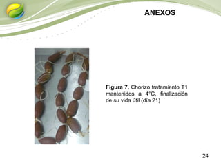 24
ANEXOS
Figura 7. Chorizo tratamiento T1
mantenidos a 4°C, finalización
de su vida útil (día 21)
 