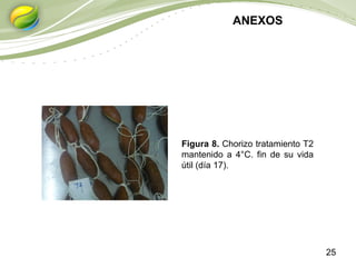 25
ANEXOS
Figura 8. Chorizo tratamiento T2
mantenido a 4°C. fin de su vida
útil (día 17).
 