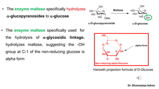 • The enzyme maltase specifically hydrolyzes
a-glucopyranosides to a-glucose
Harowth projection formula of D-Glucose
Dr. Dhananjaya Sahoo
• The enzyme maltase specifically used for
the hydrolysis of a-glycosidic linkage.
hydrolyzes maltose, suggesting the -OH
group at C-1 of the non-reducing glucose is
alpha form
 