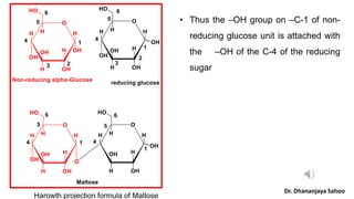 Harowth projection formula of Maltose
Dr. Dhananjaya Sahoo
• Thus the –OH group on –C-1 of non-
reducing glucose unit is a...