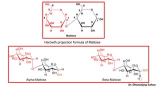 Harowth projection formula of Maltose
Dr. Dhananjaya Sahoo
 