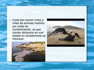 ● Cada día morren miles e
miles de animais mariños
por culpa da
contaminación, xa que
comen alimentos en mal
estado ou simplemente se
intoxican.
 