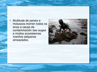 ● Multitude de peixes e
moluscos morren todos os
anos a causa da
contaminación das augas
e moitos ecosistemas
mariños atópanse
ameazados.
 