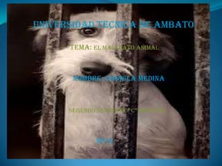 UNIVERSIDAD TECNICA DE AMBATO

      TEMA: EL MALTRATO ANIMAL



       NOMBRE: DANIELA MEDINA



      SEGUNDO SEMESTRE “C” DERECHO



             2012
 
