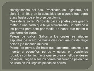 Hostigamiento del oso. Practicado en Inglaterra, del
siglo 11 al 19, y en la actualidad en algunas tras perro
ataca hasta que el toro se desploma.
Caza de la zorra. Perros de caza y jinetes persiguen y
matan a una zorra que huye aterrorizada. Se entrena a
los perros para esto por medio de hacer que maten a
cachorros de zorra.
Peleas de gallos. Gallos a los cuales se añaden
espuelas de acero de hasta diez centímetros de largo
pelean y a menudo mueren.
Peleas de perros. Se hace que cachorros caninos den
muerte a pequeños perros y gatos, en ocasiones
robados con tal fin, hasta que se crea en ellos el deseo
de matar. Llegan a ser los perros bulterrier de pelea que
se usan en las ilegales peleas de perros
 