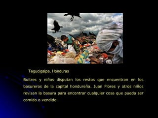 Tegucigalpa, Honduras  Buitres y niños disputan los restos que encuentran en los basureros de la capital hondureña. Juan Flores y otros niños revisan la basura para encontrar cualquier cosa que pueda ser comido o vendido. 