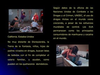 California, Estados Unidos   No muy distante de Disneylandia, la Tierra de la Fantasía, niños, hijos de padres viciados en drogas, buscan latas de bebidas con el fin de completar el salario familiar, y ayudan, como pueden en los quehaceres  domésticos.   Según datos de la oficina de las Naciones Unidas de Combate a las Drogas y al Crimen, UNODC, el uso de drogas ilícitas en el mundo viene creciendo, a pesar de los esfuerzos mundiales de control. Los EUA permanecen como los principales consumidores de marihuana y cocaína en el mundo.  