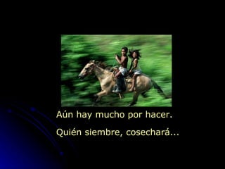 Aún hay mucho por hacer. Quién siembre, cosechará... 