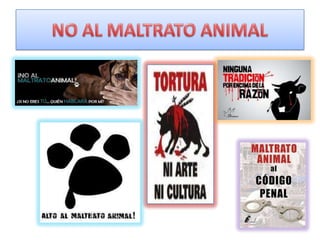 NO AL MALTRATO ANIMAL