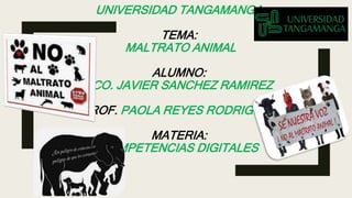 UNIVERSIDAD TANGAMANGA
TEMA:
MALTRATO ANIMAL
ALUMNO:
FCO. JAVIER SANCHEZ RAMIREZ
PROF. PAOLA REYES RODRIGUEZ
MATERIA:
COMPETENCIAS DIGITALES
 