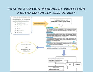 RUTA DE ATENCION MEDIDAS DE PROTECCION
ADULTO MAYOR LEY 1850 DE 2017
 
