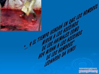 "... Y EL TIEMPO VENDRÁ EN QUE LOS HOMBRES MIREN A LOS ASESINOS  DE LOS ANIMALES COMO HOY MIRAN A LOS ASESINOS DE LOS HOMBRES" LEONARDO DA VINCI 