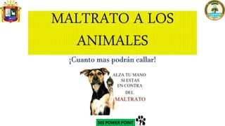 MS POWER POINT
MALTRATO A LOS
ANIMALES
¡Cuanto mas podrán callar!
 