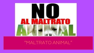 “MALTRATO ANIMAL”
 