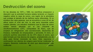 Destrucción del ozono
En las décadas de 1970 y 1980, los científicos empezaron a
descubrir que la actividad humana estaba teniendo un impacto
negativo sobre la capa de ozono, una región de la atmósfera
que protege al planeta de los dañinos rayos ultravioleta. Si no
existiera esa capa gaseosa, que se encuentra a unos 40 km de
altitud sobre el nivel del mar, la vida sería imposible sobre
nuestro planeta. Los estudios mostraron que la capa de ozono
estaba siendo afectada por el uso creciente de
clorofluorocarbonos (CFC, compuestos de flúor), que se
emplean en refrigeración, aire acondicionado, disolventes de
limpieza, materiales de empaquetado y aerosoles. El cloro, un
producto químico secundario de los CFC ataca al ozono, que
está formado por tres átomos de oxígeno, arrebatándole uno de
ellos para formar monóxido de cloro. Éste reacciona a
continuación con átomos de oxígeno para formar moléculas de
oxígeno, liberando moléculas de cloro que descomponen más
moléculas de ozono.
 