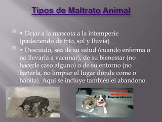 
• Dejar a la mascota a la intemperie
(padeciendo de frío, sol y lluvia)

• Descuido, sea de su salud (cuando enferma o
no llevarla a vacunar), de su bienestar (no
hacerle caso alguno) o de su entorno (no
bañarla, no limpiar el lugar donde come o
habita). Aquí se incluye también el abandono.
 