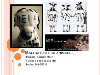 MALTRATO A LOS ANIMALES
Nombre: Adriana Marin
Curso: 1 Bachillerato «B»
Fecha: 20/06/2016
 