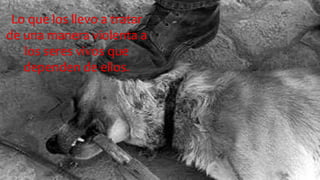 Lo que los llevo a tratar 
de una manera violenta a 
los seres vivos que 
dependen de ellos. 
 