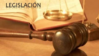 LEGISLACIÓN 
 