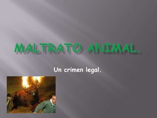MALTRATO ANIMAL. Un crimen legal. 