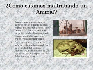 Nunca golpes a un animal solo por cruzarse en tu camino, recuerda que son parte de la tierra, este lugar también es de ellos.